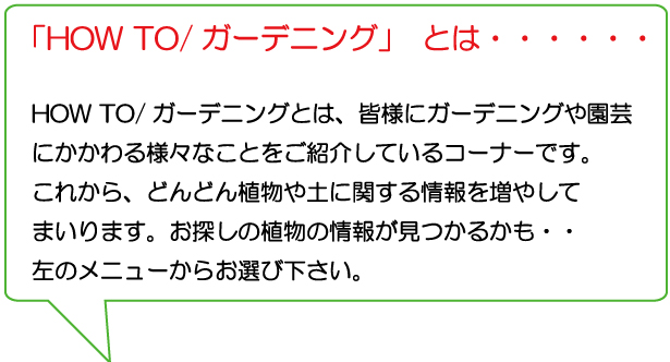 刀川平和農園から皆様へ園芸情報をお届けするコーナーです。